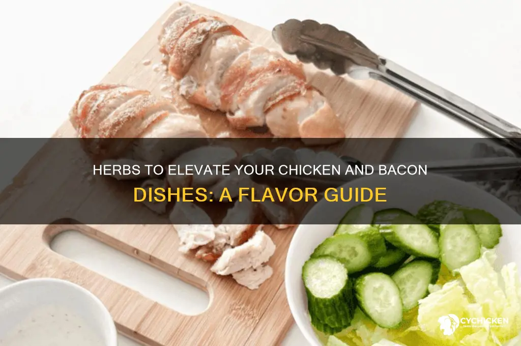 what herbs go well with chicken and bacon
