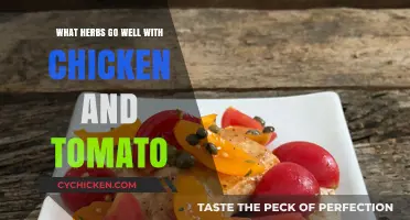 Herbs That Perfectly Complement Chicken and Tomato Dishes