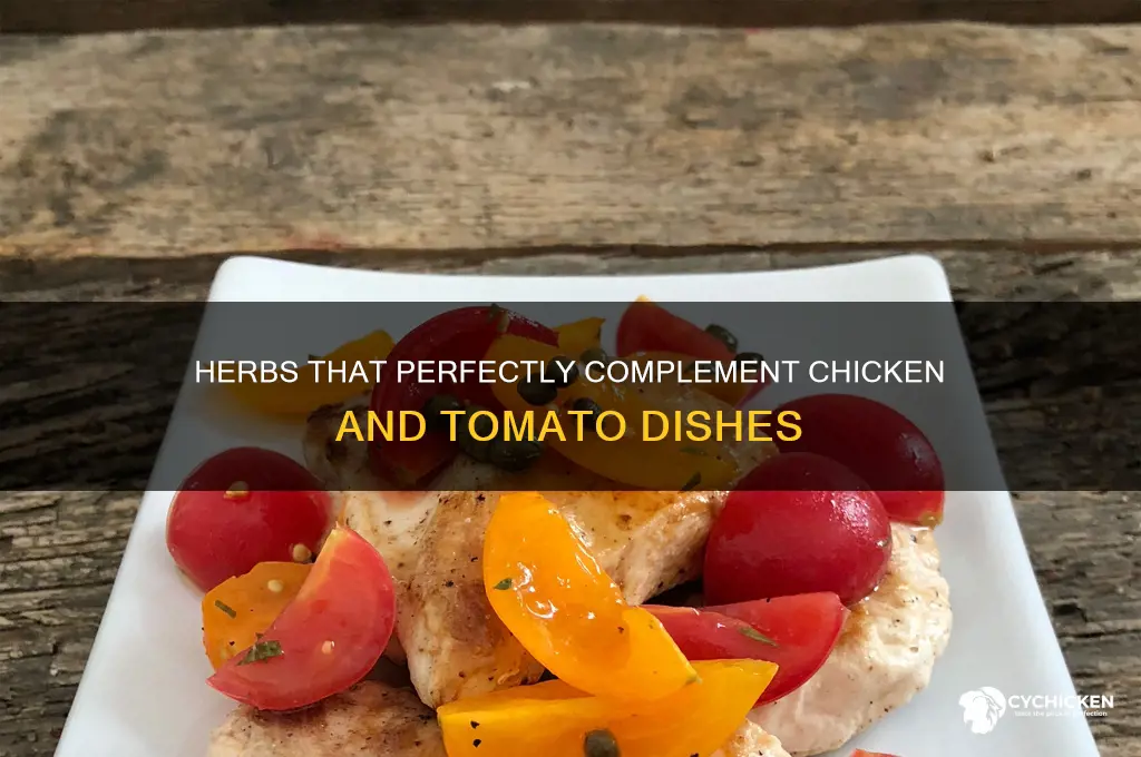 what herbs go well with chicken and tomato