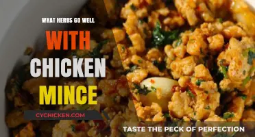 Flavorful Herbs to Elevate Your Chicken Mince Dishes Perfectly