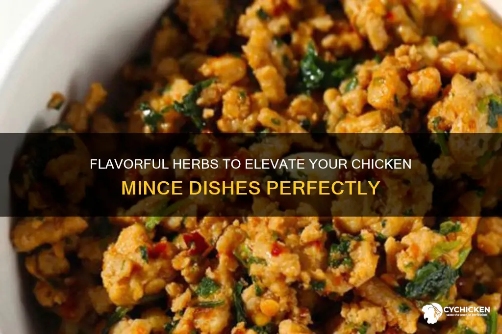 what herbs go well with chicken mince