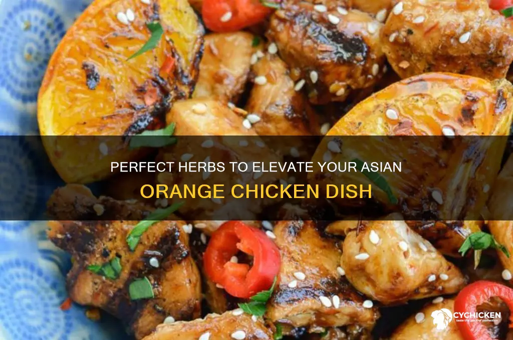 what herbs go with asian orange chicken