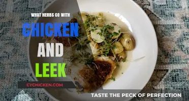 Perfect Pairings: Herbs That Elevate Chicken and Leek Dishes
