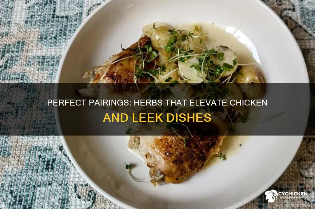 what herbs go with chicken and leek
