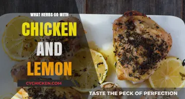 Enhance Chicken and Lemon Dishes: Top Herbs for Flavorful Pairings