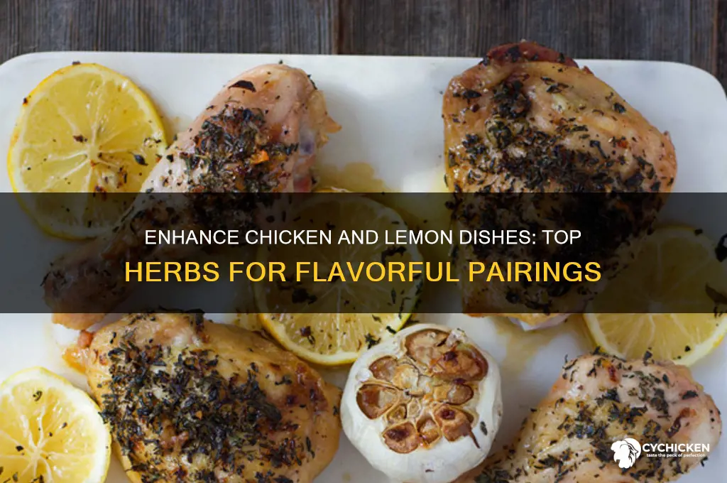 what herbs go with chicken and lemon