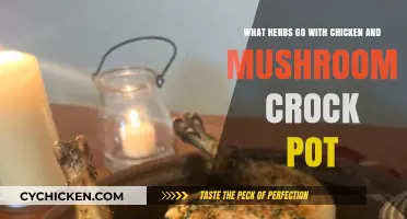 Savory Slow-Cooker: Herb-Infused Chicken and Mushroom Delight