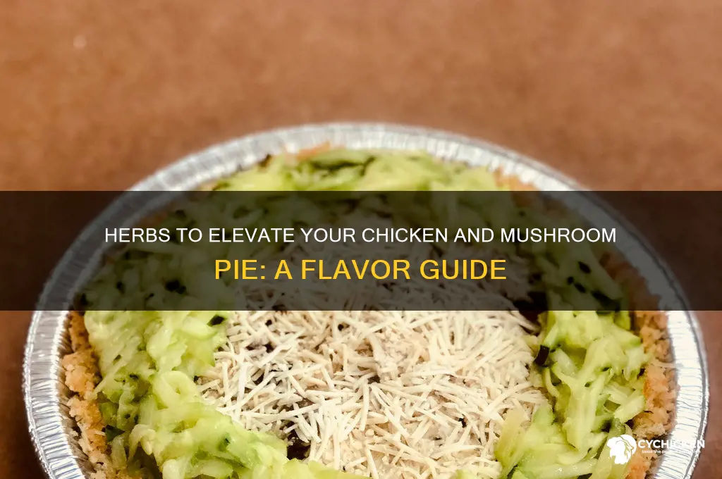 what herbs go with chicken and mushroom pie