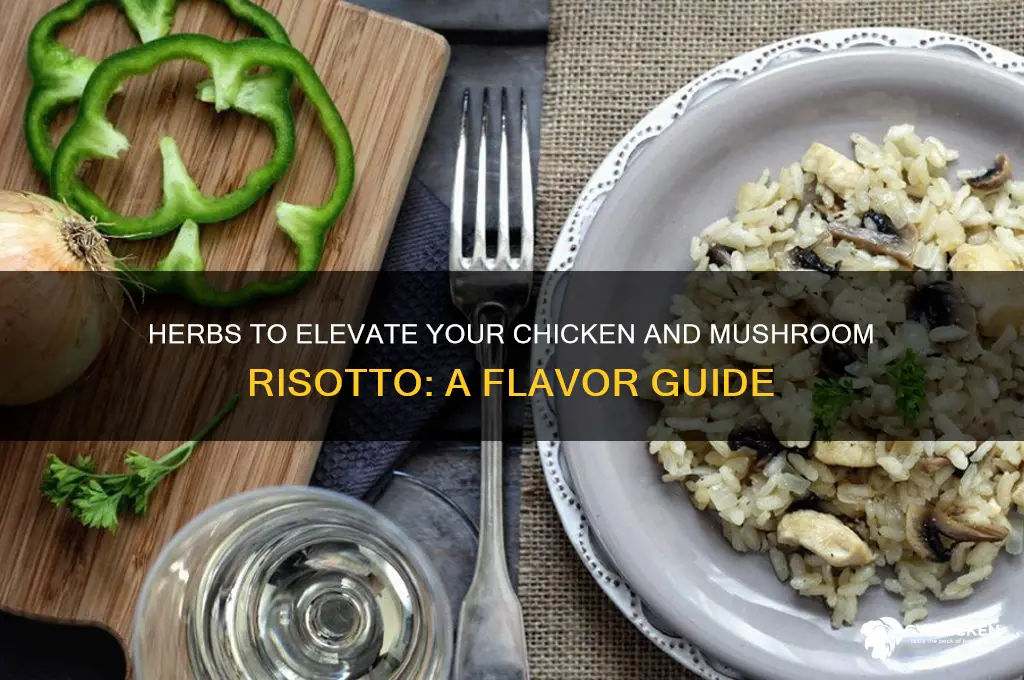 what herbs go with chicken and mushroom risotto