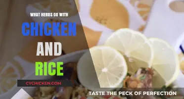 Flavorful Herbs to Elevate Your Chicken and Rice Dish Perfectly