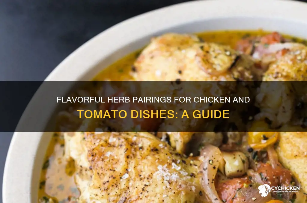 what herbs go with chicken and tomato