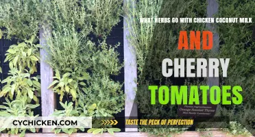 Herbs for Chicken: Coconut Milk and Cherry Tomato Delight