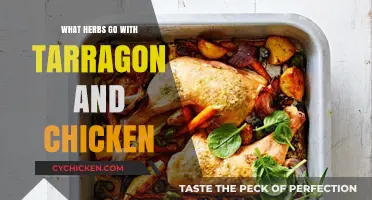 Tarragon and Chicken: Perfect Herb Pairings for Flavorful Dishes