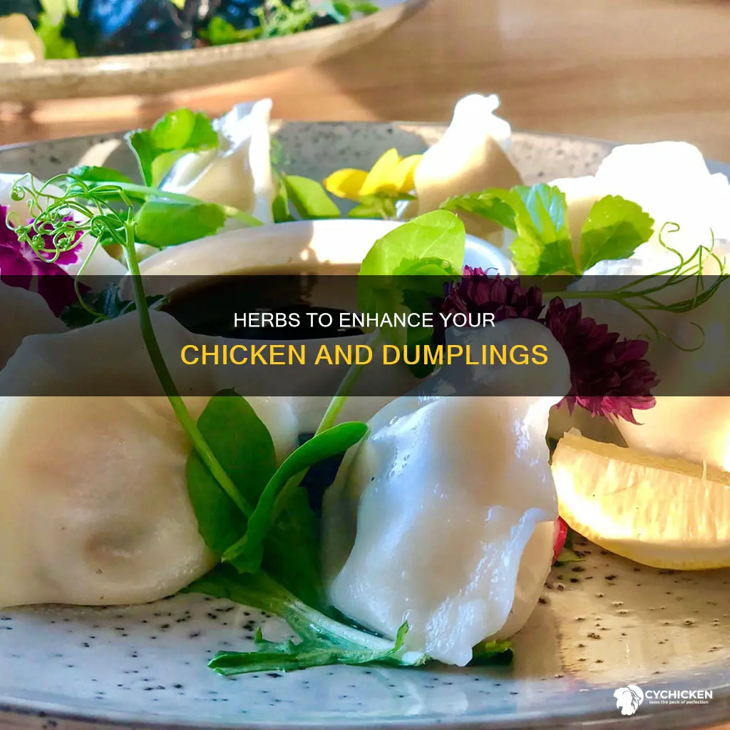 what herbs should i put in chicken and dumplings