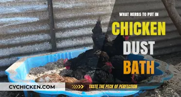 Herbs for Chicken Dust Baths: Natural Pest Control and Health Boost