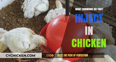 Hormone Injections in Chickens: Uncovering the Truth Behind Poultry Production