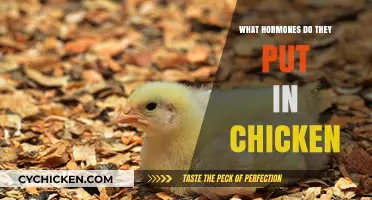 Hormones in Chicken: Fact vs. Fiction and What You Need to Know