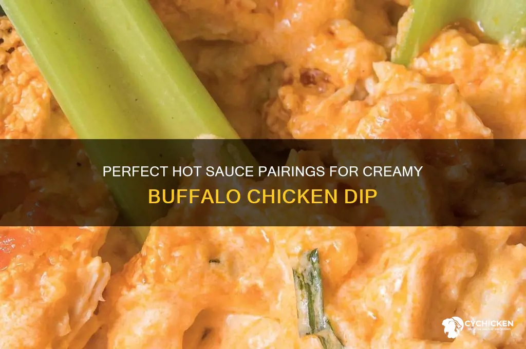 what hot sauce for buffalo chicken dip