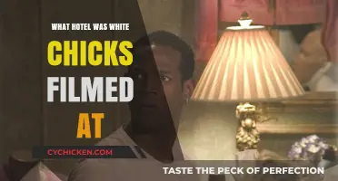 Unveiling the Hotel: Where 'White Chicks' Movie Magic Happened