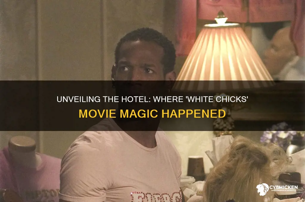 what hotel was white chicks filmed at
