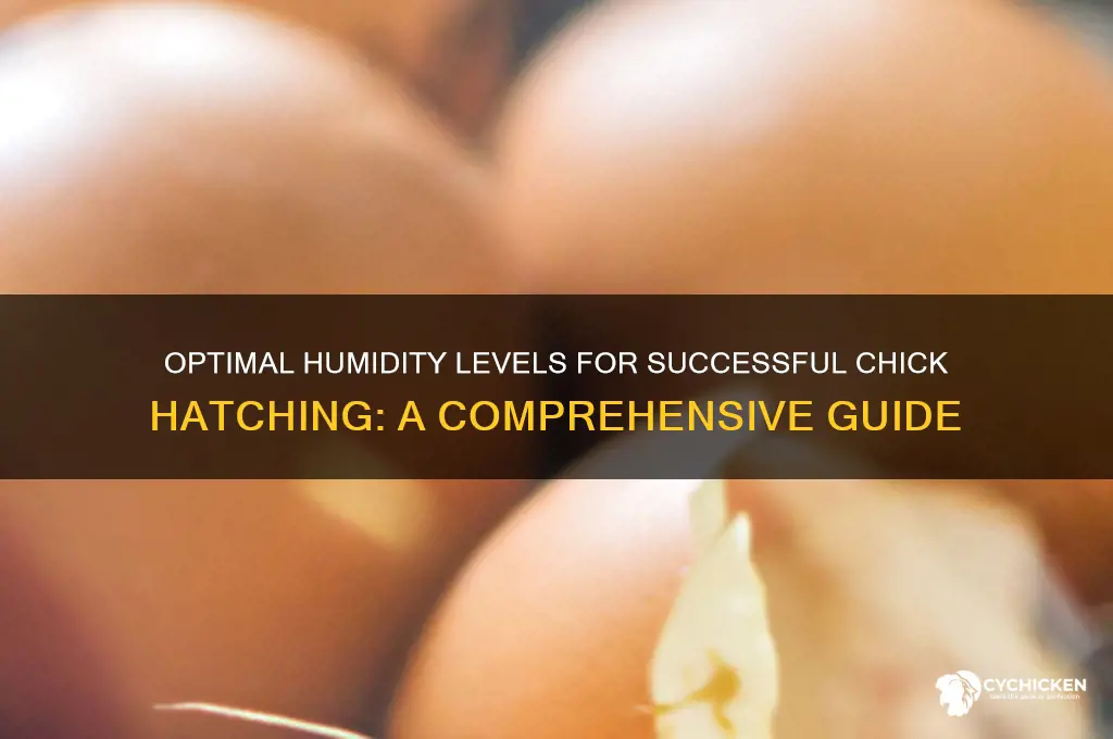 what humidity do chicks need to hatch