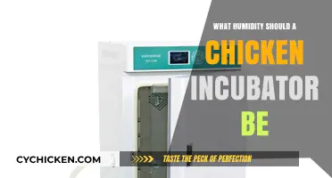 Optimal Humidity Levels for Successful Chicken Egg Incubation