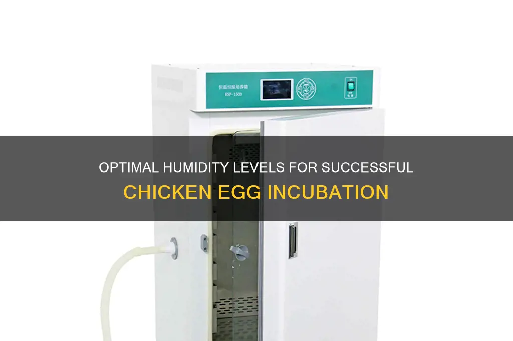 what humidity should a chicken incubator be