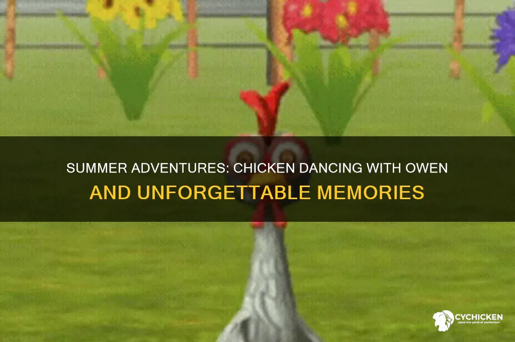 what i did this summer chicken dancing owen