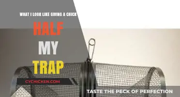 Sharing My Trap: A Generous Gesture to a Lucky Chick
