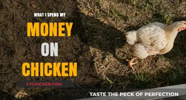 Clucking Good Investments: My Chicken-Centric Spending Habits Explained