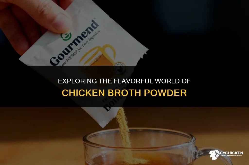 what ia chicken broth powder