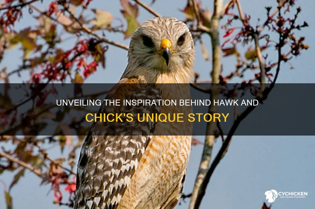 what id hawk and chick based on