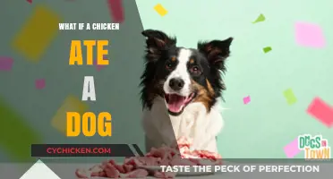 What If Chickens Ate Dogs? Exploring the Unlikely Scenario