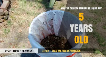 Chicken Manure Mystery: Liquid After 5 Years?