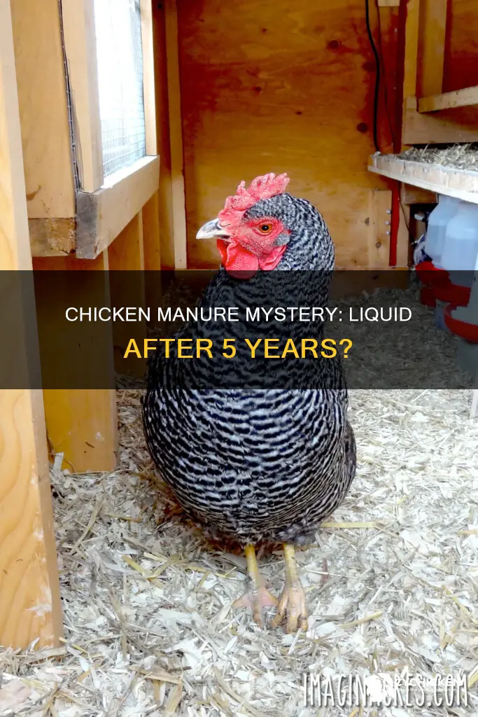 what if chicken manure is liquid but 5 years old