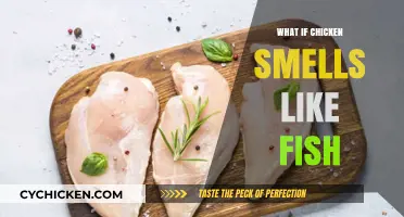 Why Does My Chicken Smell Like Fish? Causes and Solutions