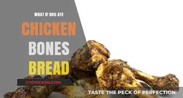 Dog Ate Chicken Bones in Bread: Risks and Emergency Steps
