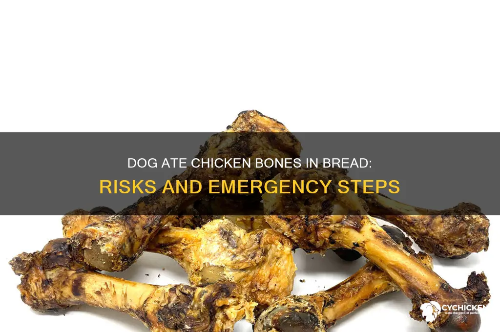 what if dog ate chicken bones bread