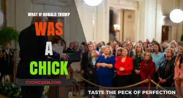 What If Donald Trump Was a Chick? Exploring a Gender-Swapped Presidency