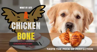 What If I Ate a Chicken Bone? Risks, Symptoms, and Solutions