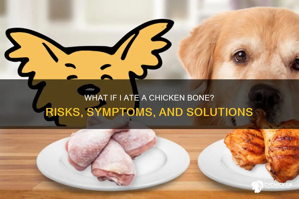 what if i ate a chicken bone