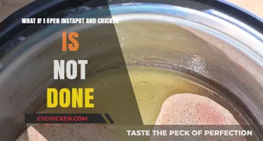 Instant Pot Problems: Underdone Chicken, Now What?