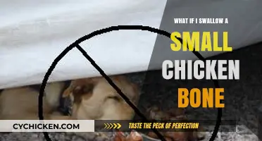 Swallowed a Chicken Bone? What to Do and When to Worry