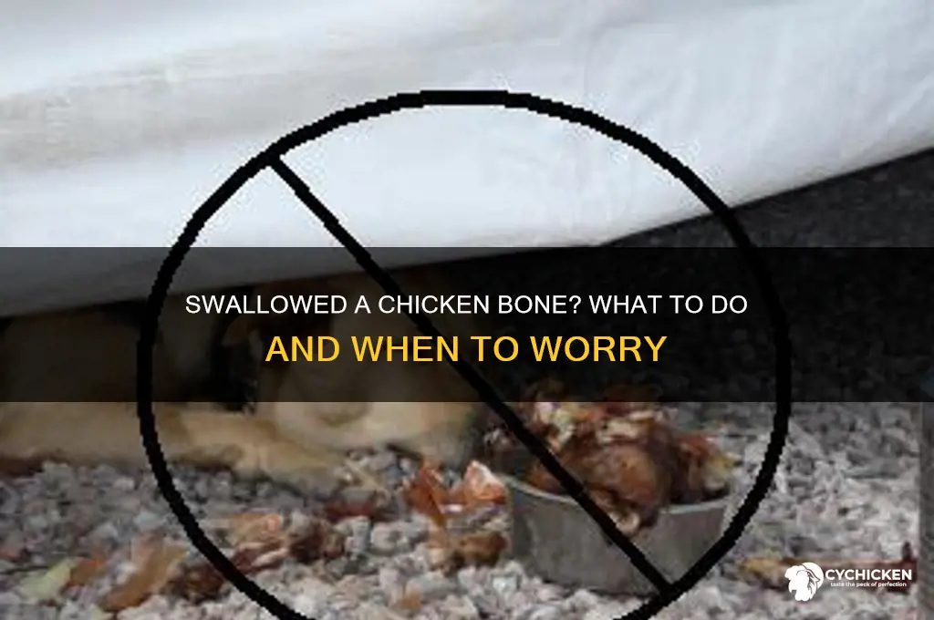 what if i swallow a small chicken bone