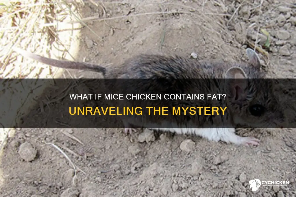 what if mice chicken has fat in it