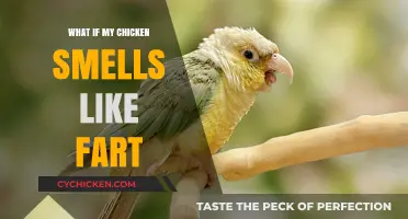Why Does My Chicken Smell Like Fart? Causes and Solutions