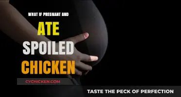 Pregnant and Ate Spoiled Chicken? Risks, Symptoms, and What to Do