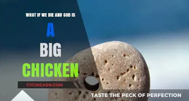 The Big Chicken Theory: What If God's a Bird?