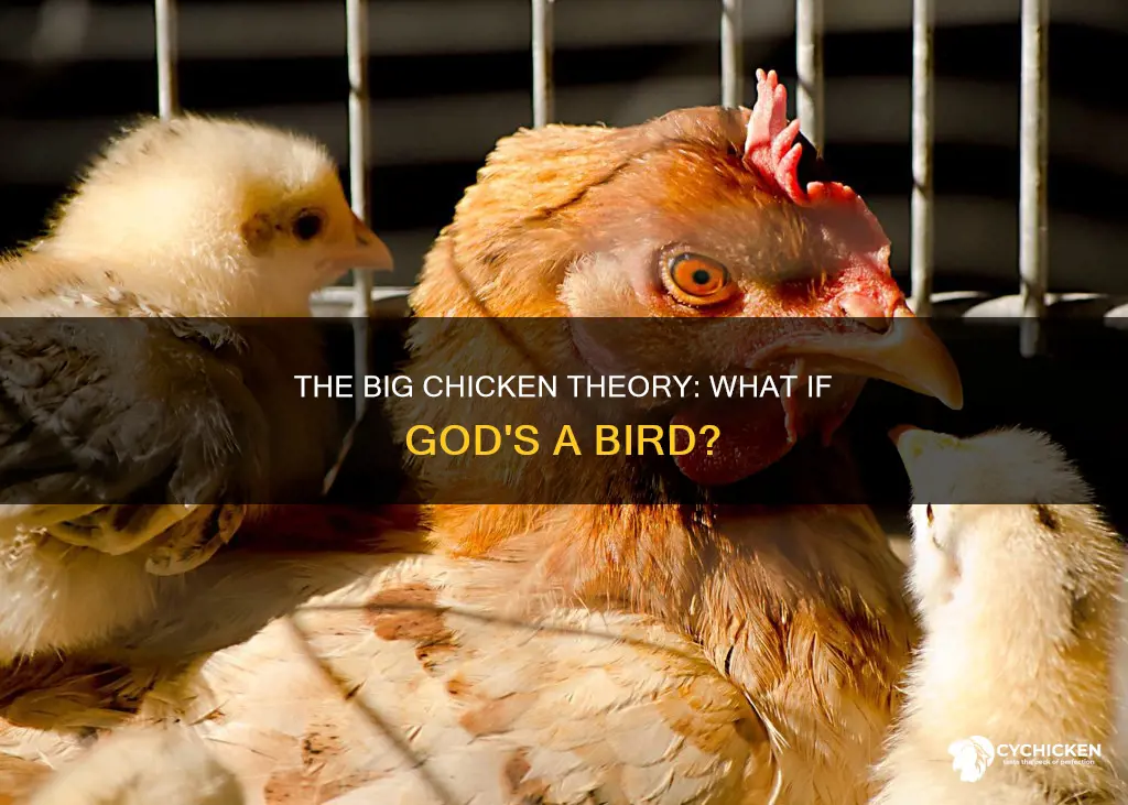what if we die and god is a big chicken