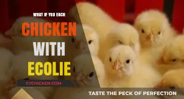 Eating Chicken with E. Coli: Risks, Symptoms, and Prevention Tips